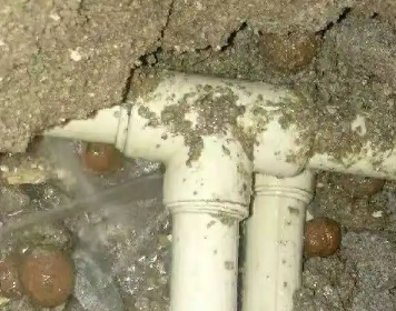 泸州测漏水多少钱