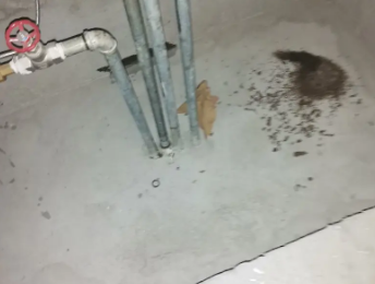 泸州卫生间测漏水价格明细